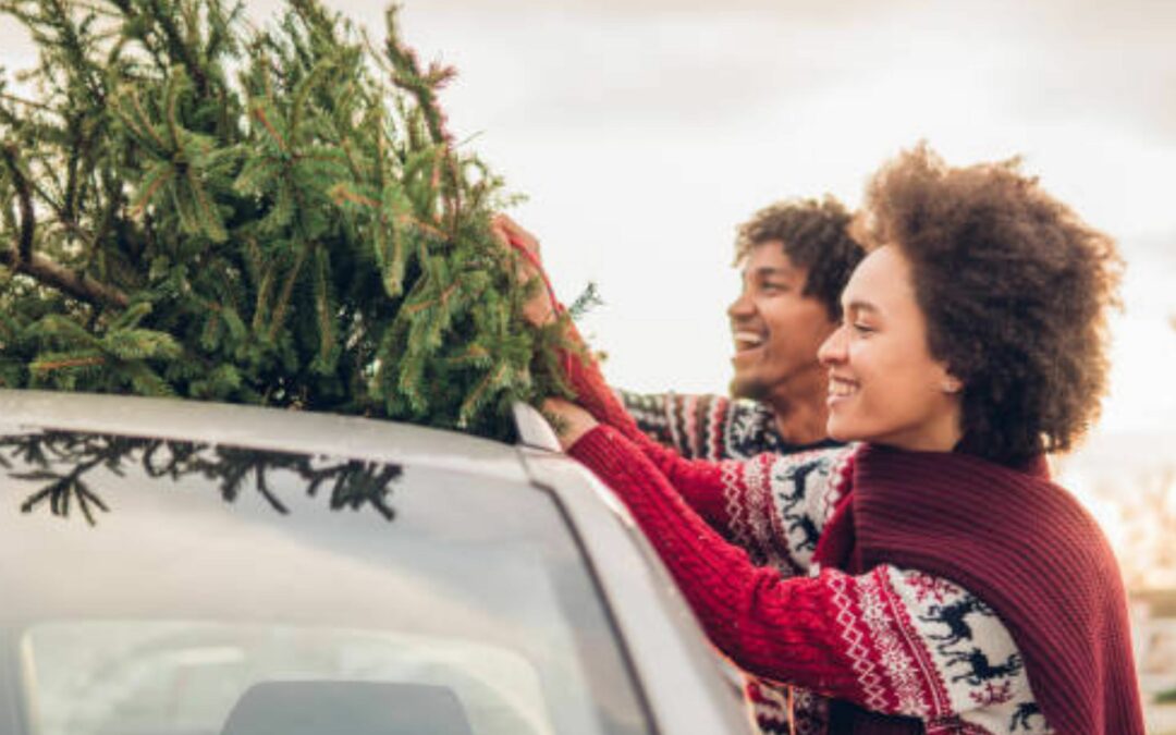 START YOUR JOURNEY THIS FESTIVE SEASON AT GULLIVER’S RETAIL PARK WITH GO CAR