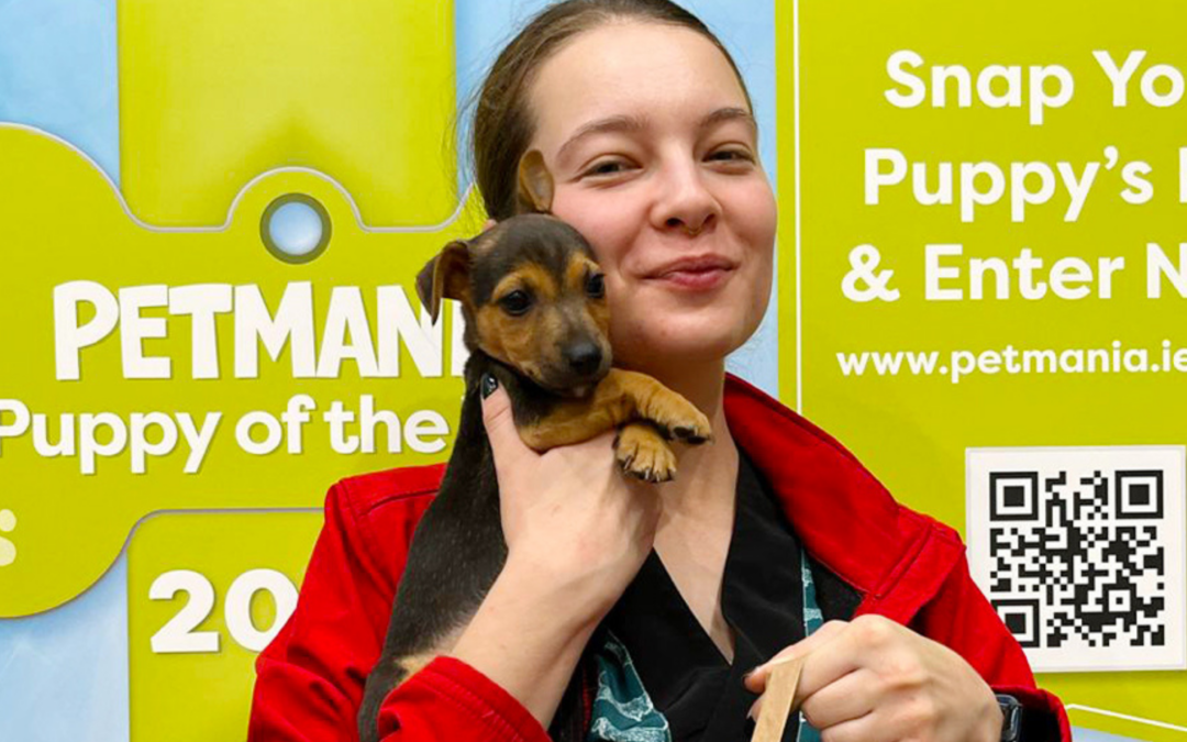PETMANIA PUPPY OF THE YEAR Gulliver s Retail Park